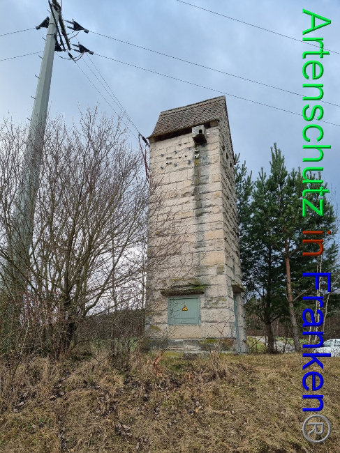 © Artenschutz in Franken® Bild zum Eintrag (1077605-160)