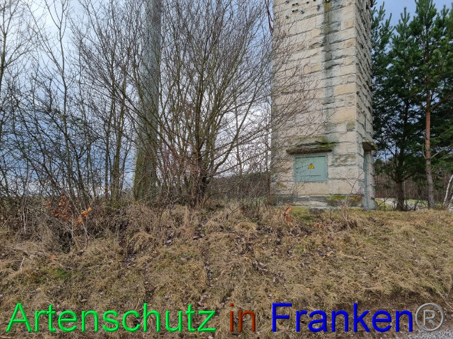 © Artenschutz in Franken® Bild zum Eintrag (1077608-160)