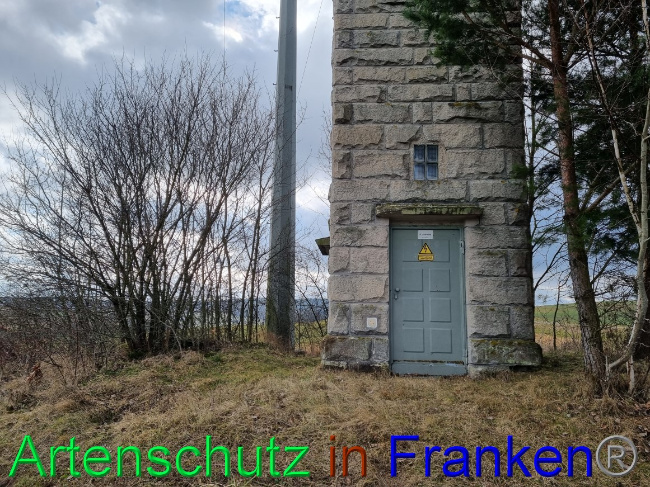 © Artenschutz in Franken® Bild zum Eintrag (1077609-160)