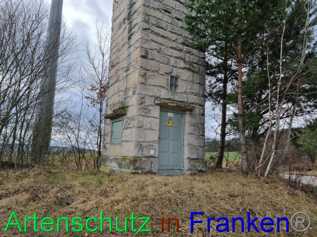 © Artenschutz in Franken® Bild zum Eintrag (1077610-160)