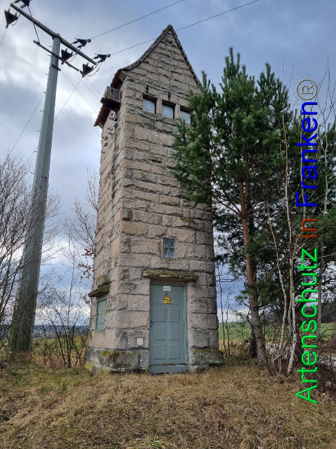 © Artenschutz in Franken® Bild zum Eintrag (1077611-160)
