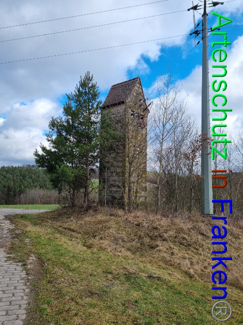 © Artenschutz in Franken® Bild zum Eintrag (1077612-160)