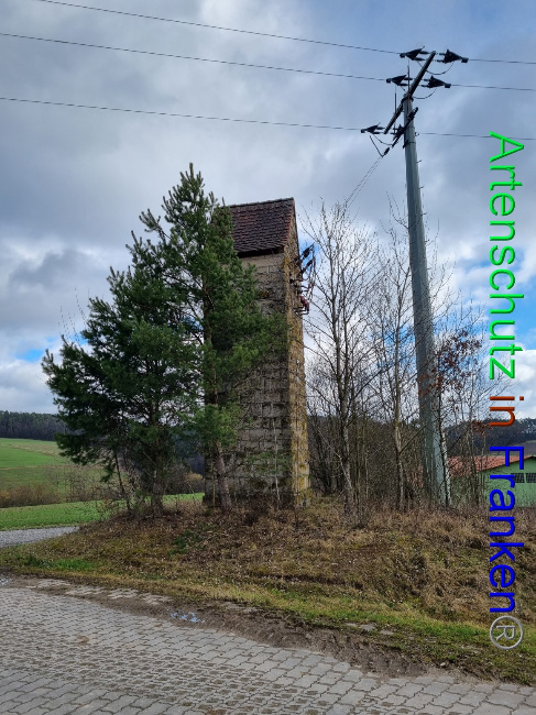 © Artenschutz in Franken® Bild zum Eintrag (1077613-160)