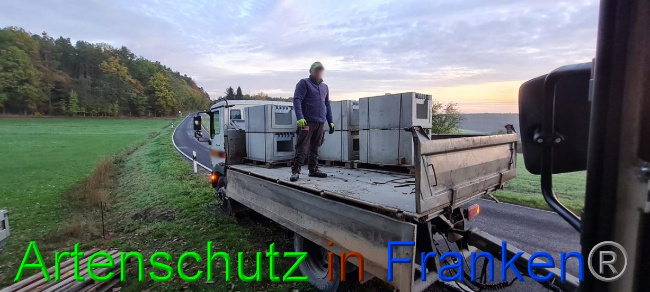 © Artenschutz in Franken® Bild zum Eintrag (1077766-160)