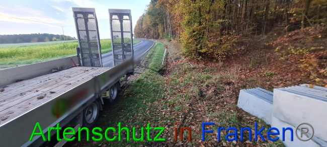 © Artenschutz in Franken® Bild zum Eintrag (1077770-160)