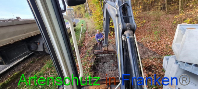 © Artenschutz in Franken® Bild zum Eintrag (1077771-160)