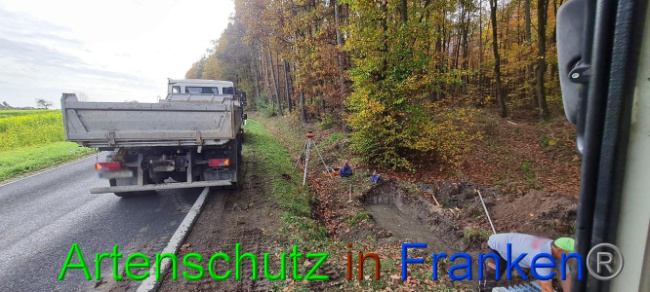 © Artenschutz in Franken® Bild zum Eintrag (1077772-160)