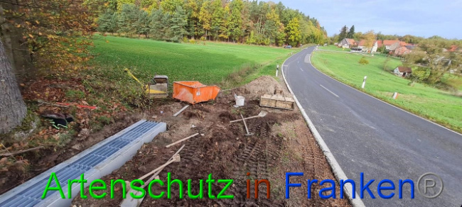 © Artenschutz in Franken® Bild zum Eintrag (1077775-160)