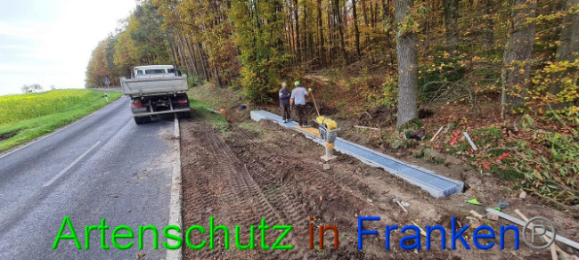 © Artenschutz in Franken® Bild zum Eintrag (1077776-160)