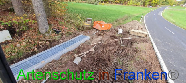 © Artenschutz in Franken® Bild zum Eintrag (1077777-160)