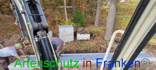 © Artenschutz in Franken® Bild zum Eintrag (1077778-160)