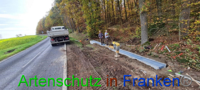 © Artenschutz in Franken® Bild zum Eintrag (1077780-160)