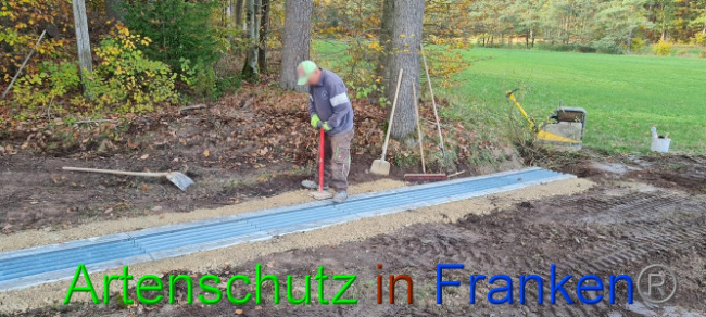 © Artenschutz in Franken® Bild zum Eintrag (1077781-160)