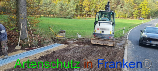 © Artenschutz in Franken® Bild zum Eintrag (1077782-160)