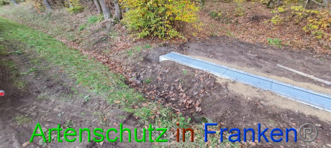© Artenschutz in Franken® Bild zum Eintrag (1077783-160)