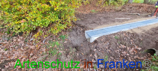 © Artenschutz in Franken® Bild zum Eintrag (1077784-160)