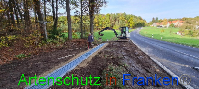 © Artenschutz in Franken® Bild zum Eintrag (1077785-160)