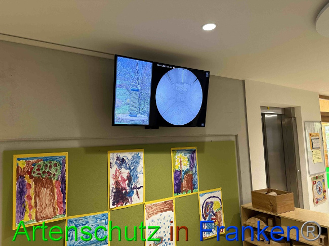 © Artenschutz in Franken® Bild zum Eintrag (1077845-160)