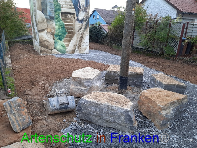 © Artenschutz in Franken® Bild zum Eintrag (1078110-160)