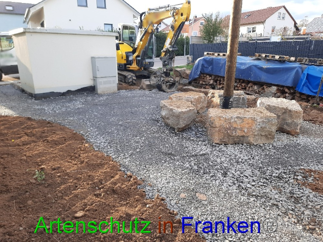 © Artenschutz in Franken® Bild zum Eintrag (1078111-160)