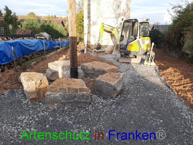 © Artenschutz in Franken® Bild zum Eintrag (1078112-160)