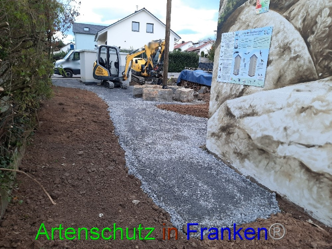 © Artenschutz in Franken® Bild zum Eintrag (1078114-160)