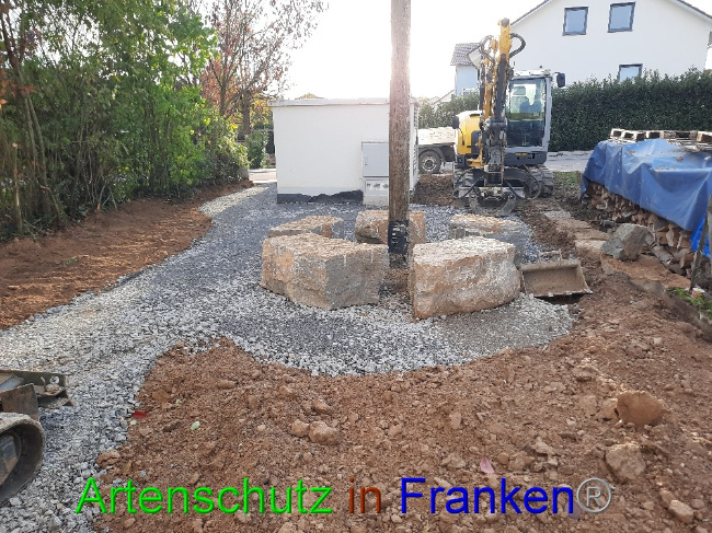 © Artenschutz in Franken® Bild zum Eintrag (1078115-160)