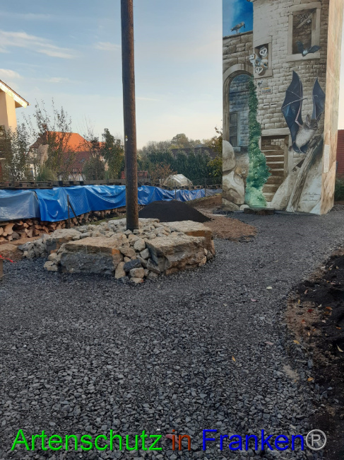 © Artenschutz in Franken® Bild zum Eintrag (1078123-160)
