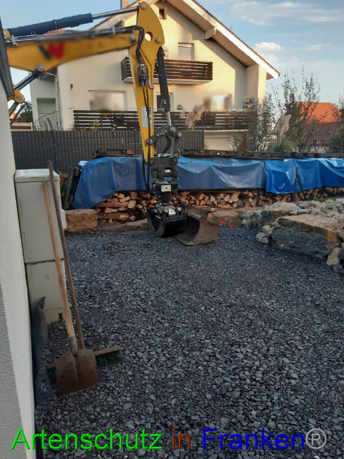 © Artenschutz in Franken® Bild zum Eintrag (1078125-160)