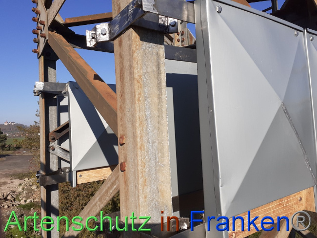 © Artenschutz in Franken® Bild zum Eintrag (1078287-160)