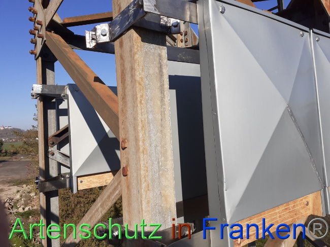 © Artenschutz in Franken® Bild zum Eintrag (1078289-160)