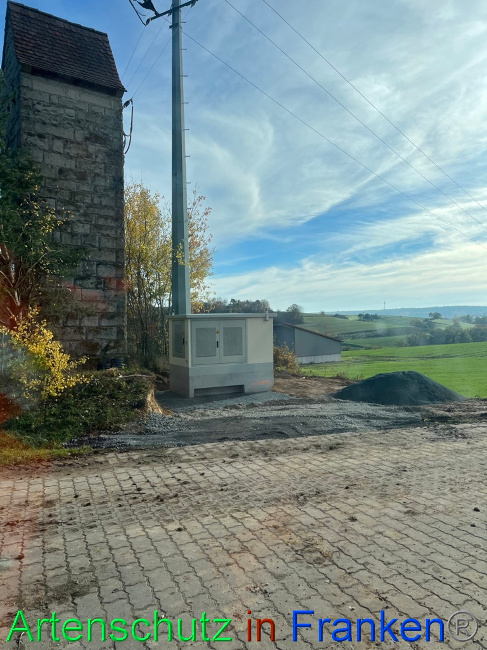 © Artenschutz in Franken® / Markt Burgwindheim Bild zum Eintrag (1078300-160)
