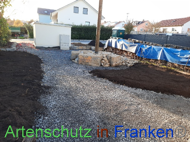 © Artenschutz in Franken® Bild zum Eintrag (1078378-160)