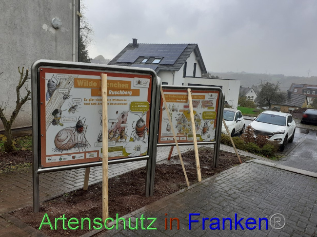 Bild zum Eintrag (1078393-160)