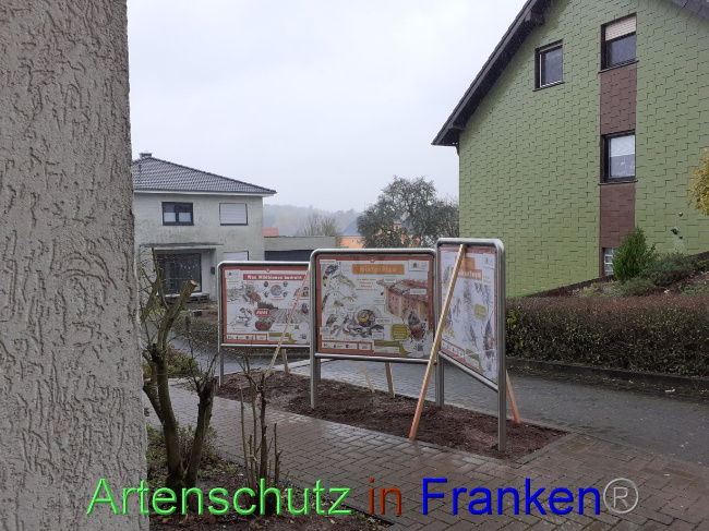 Bild zum Eintrag (1078394-160)