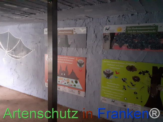 © Artenschutz in Franken® Bild zum Eintrag (1078568-160)