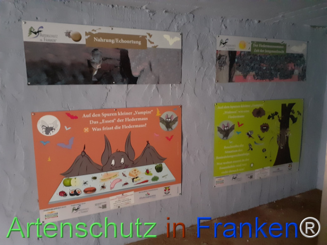 © Artenschutz in Franken® Bild zum Eintrag (1078569-160)