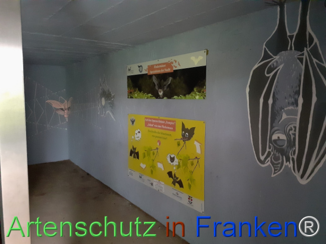 © Artenschutz in Franken® Bild zum Eintrag (1078572-160)