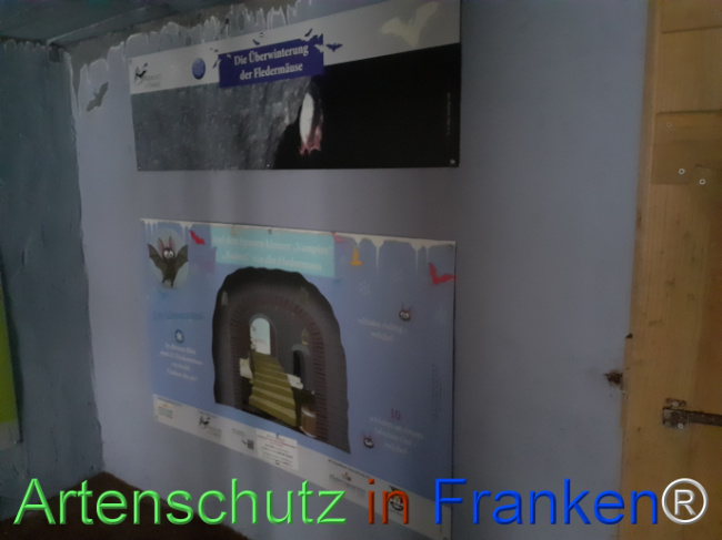 © Artenschutz in Franken® Bild zum Eintrag (1078573-160)