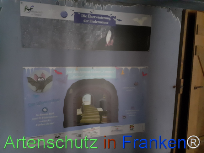 © Artenschutz in Franken® Bild zum Eintrag (1078574-160)