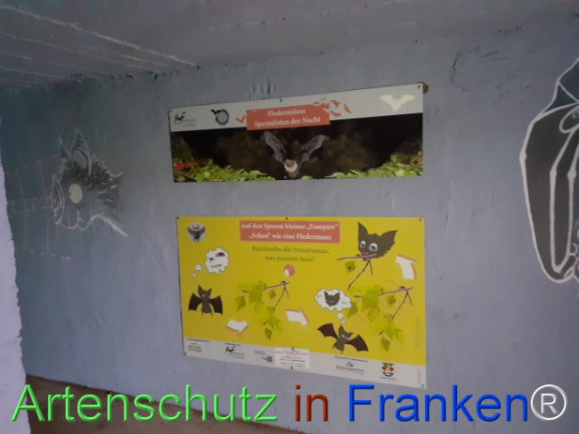© Artenschutz in Franken® Bild zum Eintrag (1078575-160)