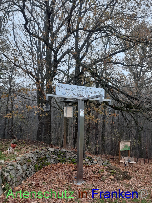 © Artenschutz in Franken® Bild zum Eintrag (1079042-160)