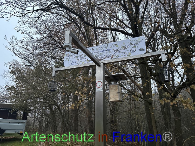 © Artenschutz in Franken® Bild zum Eintrag (1079043-160)