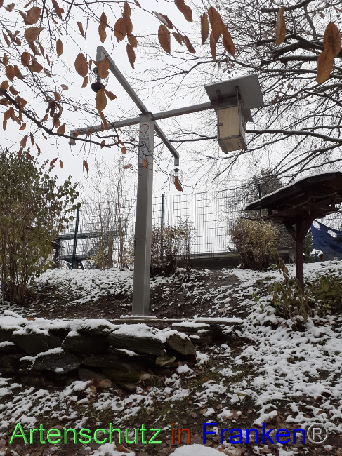 © Artenschutz in Franken® Bild zum Eintrag (1079065-160)