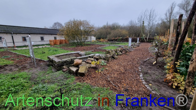 © Artenschutz in Franken® Bild zum Eintrag (1079073-160)