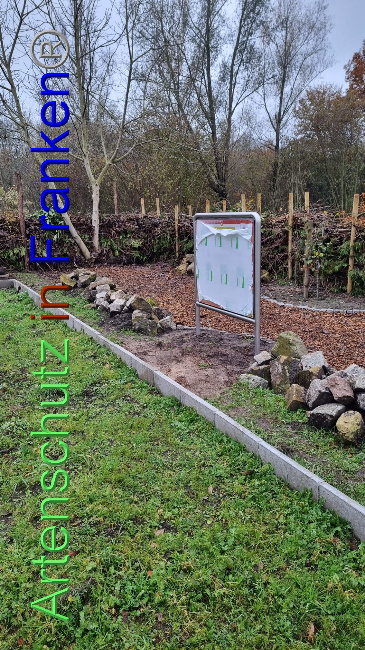 © Artenschutz in Franken® Bild zum Eintrag (1079074-160)