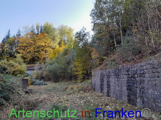 Bild zum Eintrag (1079150-160)