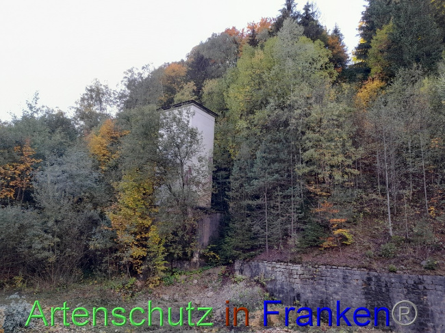 Bild zum Eintrag (1079152-160)