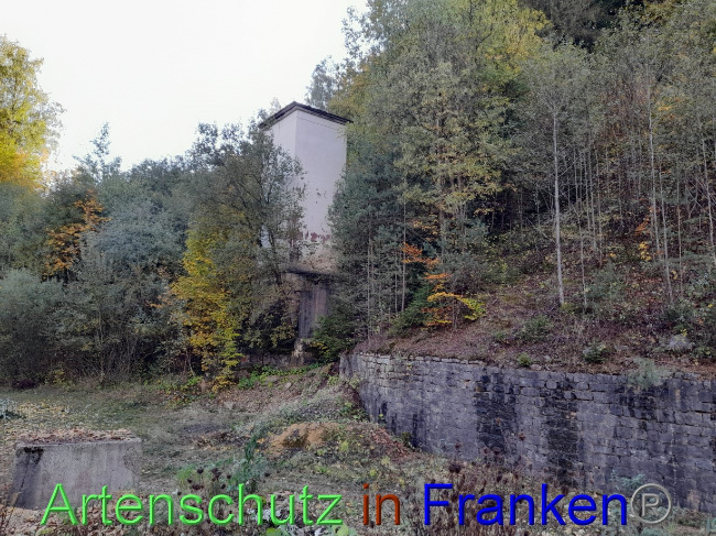 © Artenschutz in Franken® Bild zum Eintrag (1079160-160)
