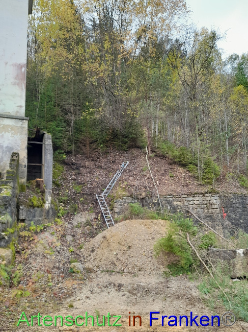 © Artenschutz in Franken® Bild zum Eintrag (1079170-160)